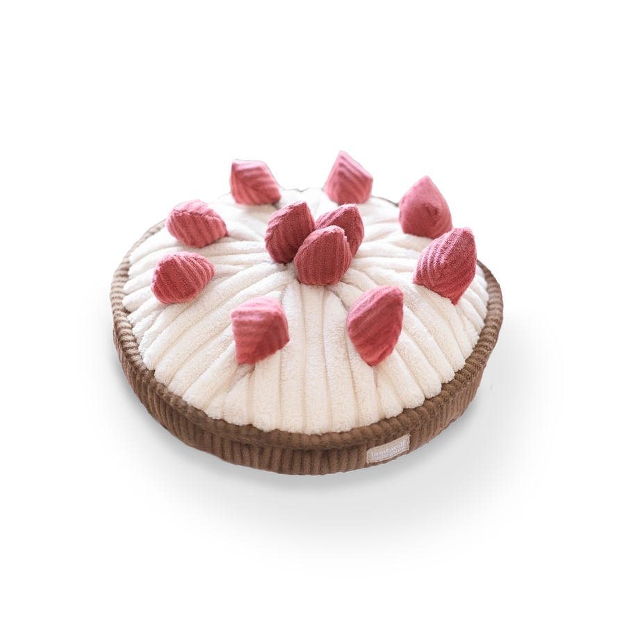 Tartes aux baies D'enrichissement