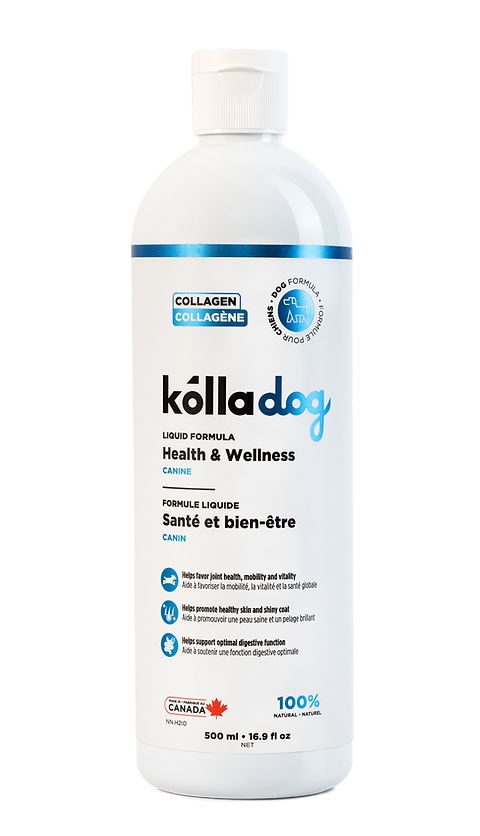 Kolladog