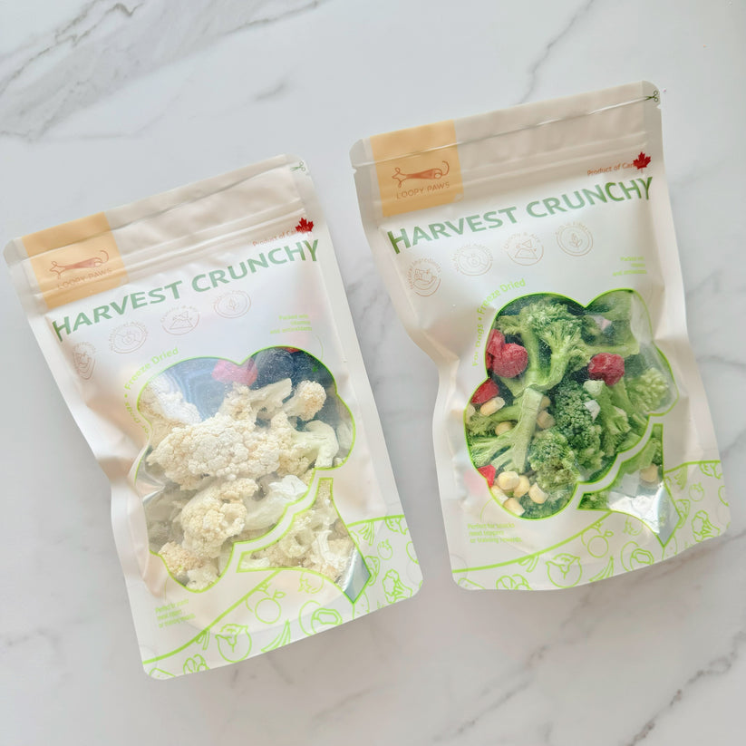 Harvest crunchy brocoli 30g