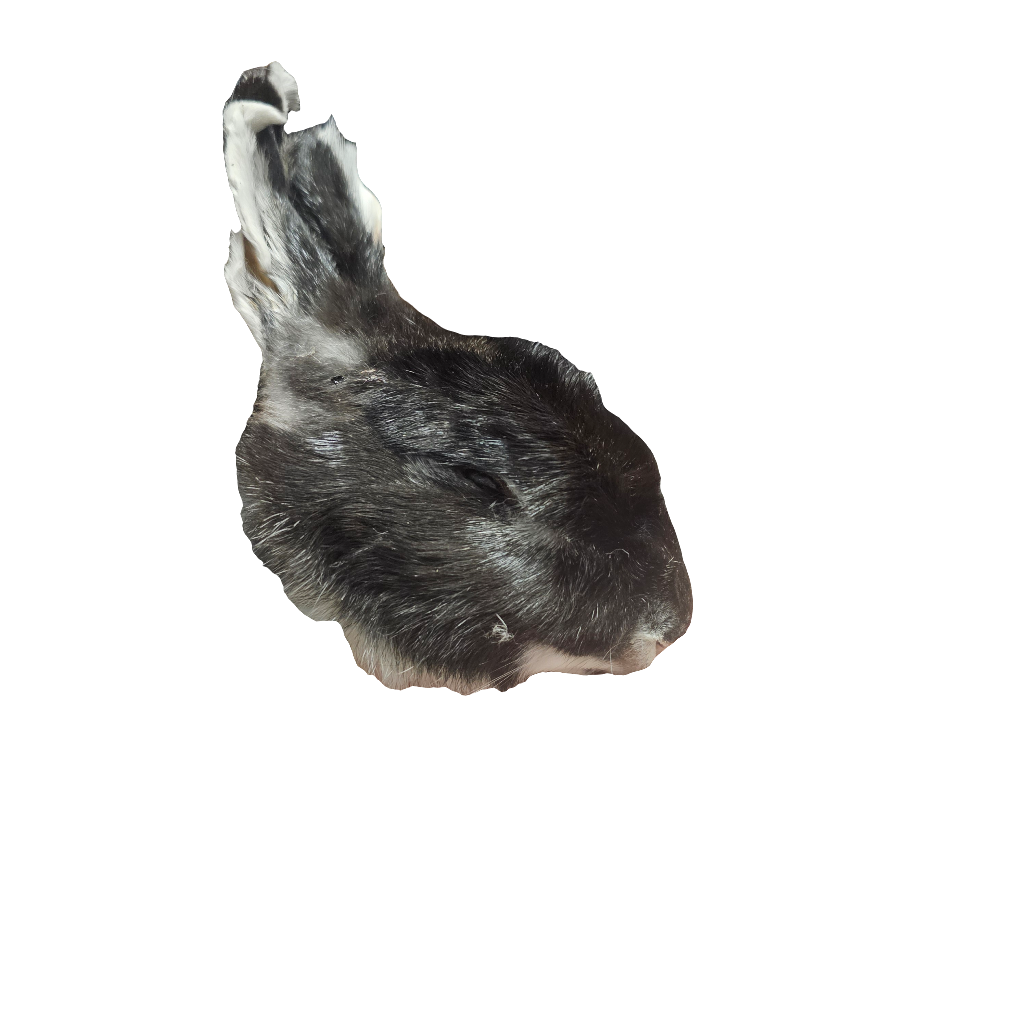 Tête lapin individuelle