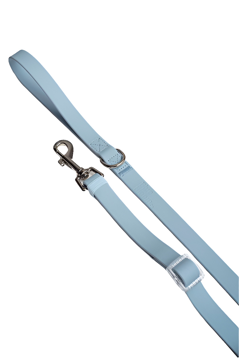 Laisse ajustable bluebloom