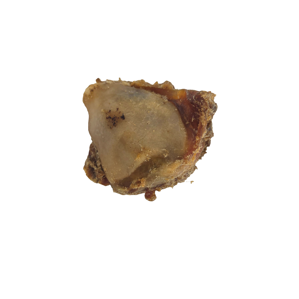 Rotule de Boeuf (Tartar Buster)