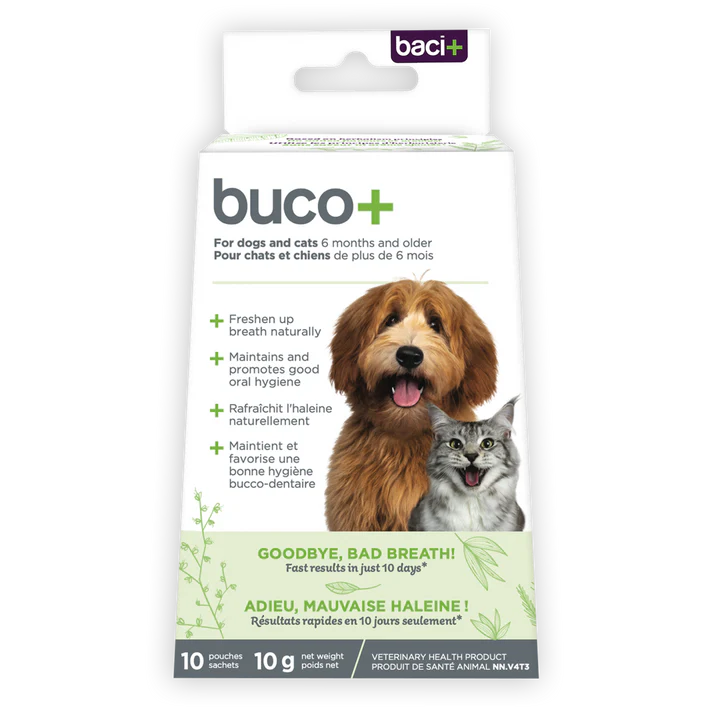Baci+ Buco+10 jours chat et chien