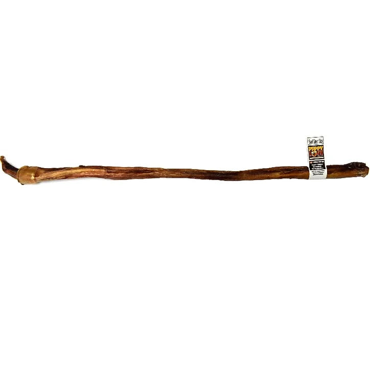 Bâton de boeuf (bullystick)