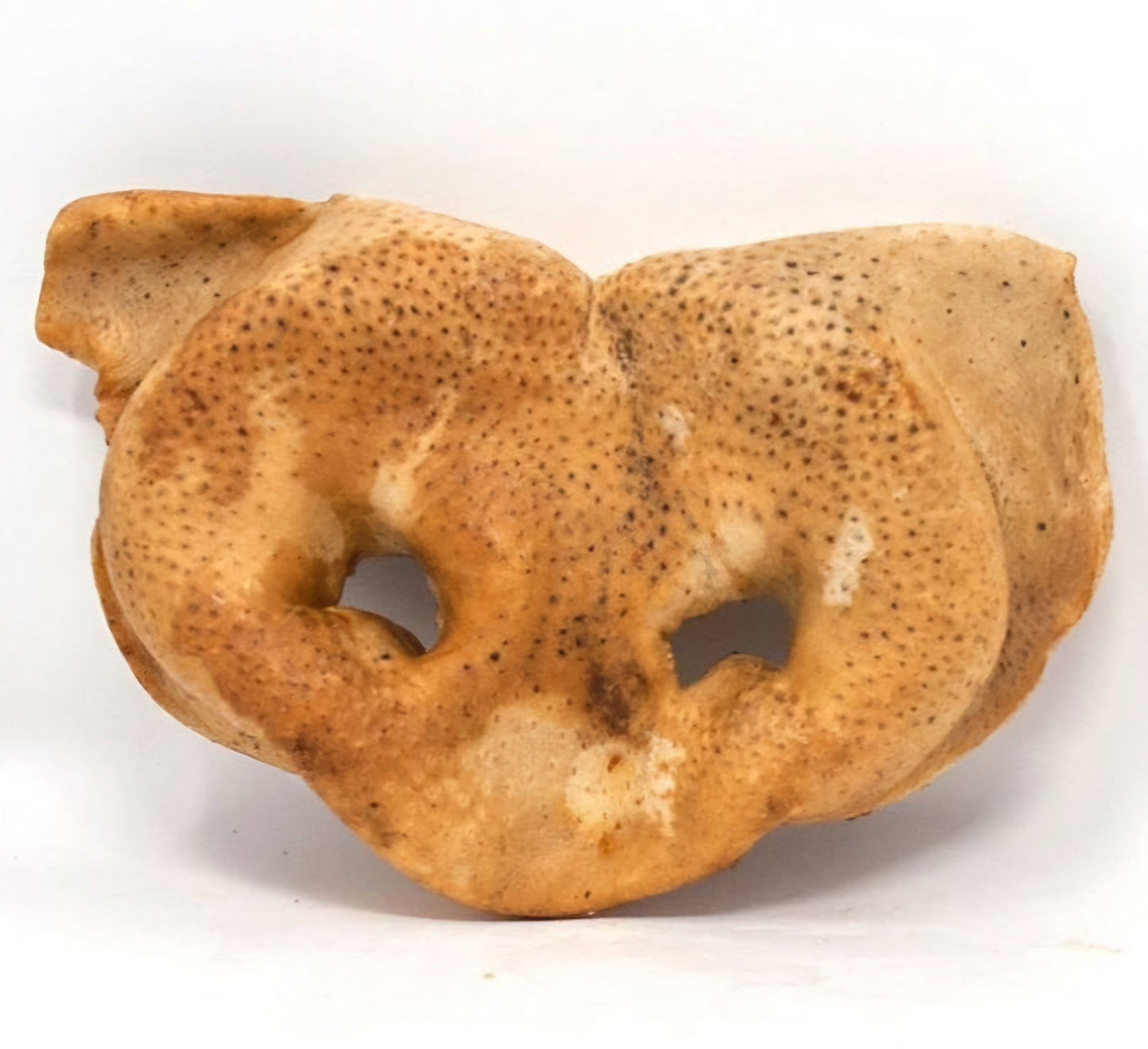 Nez de porc