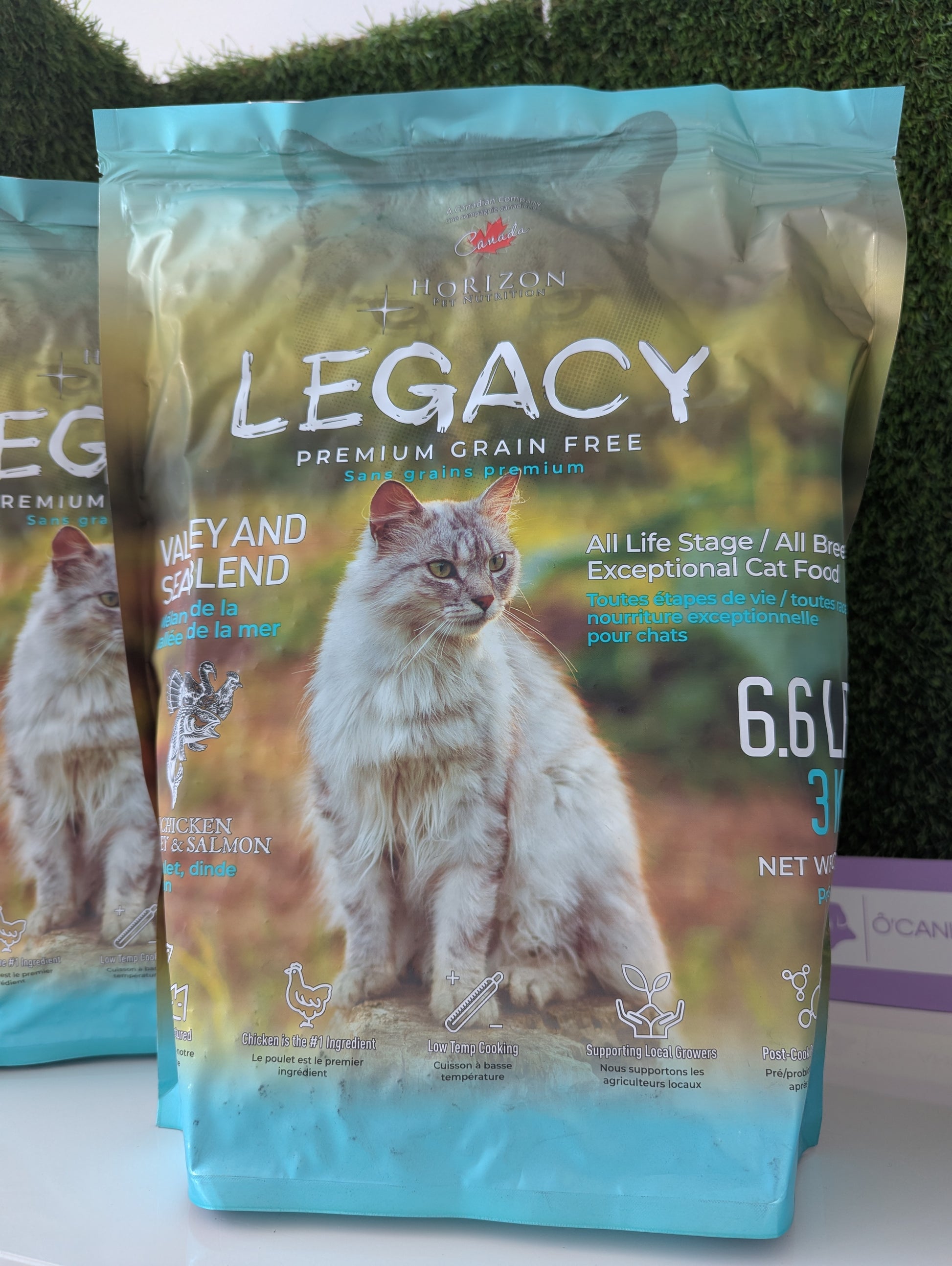 Legacy chat mélange de la vallée et de la mer