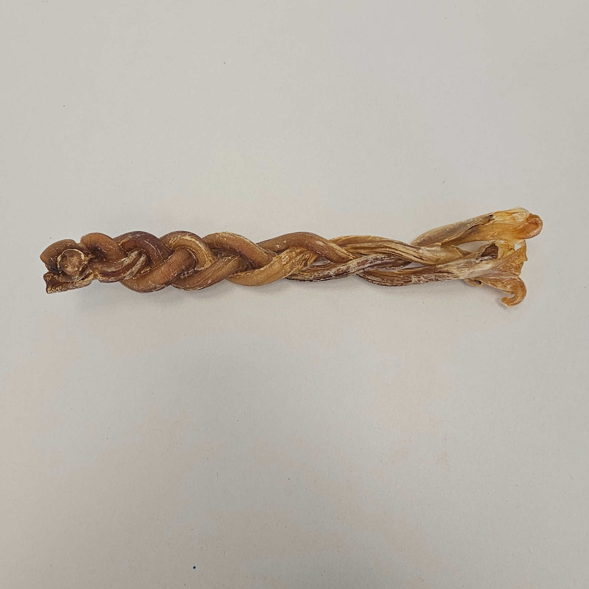 Pizzle d'agneau tressé 8-9"