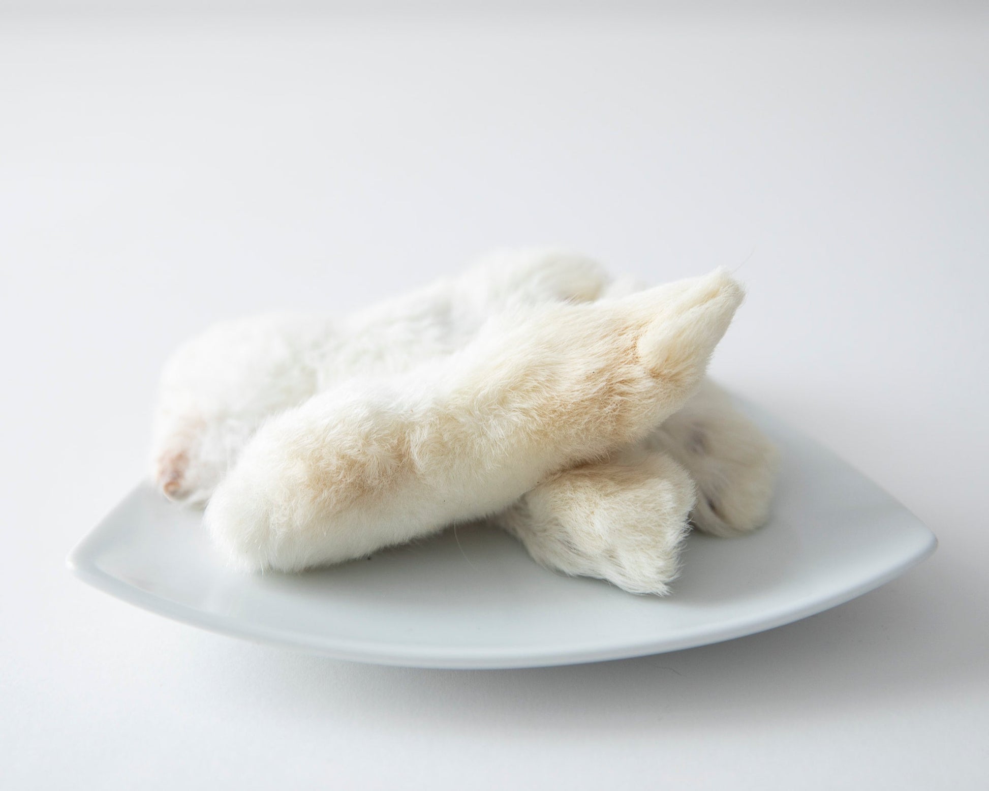 Pattes de lapin