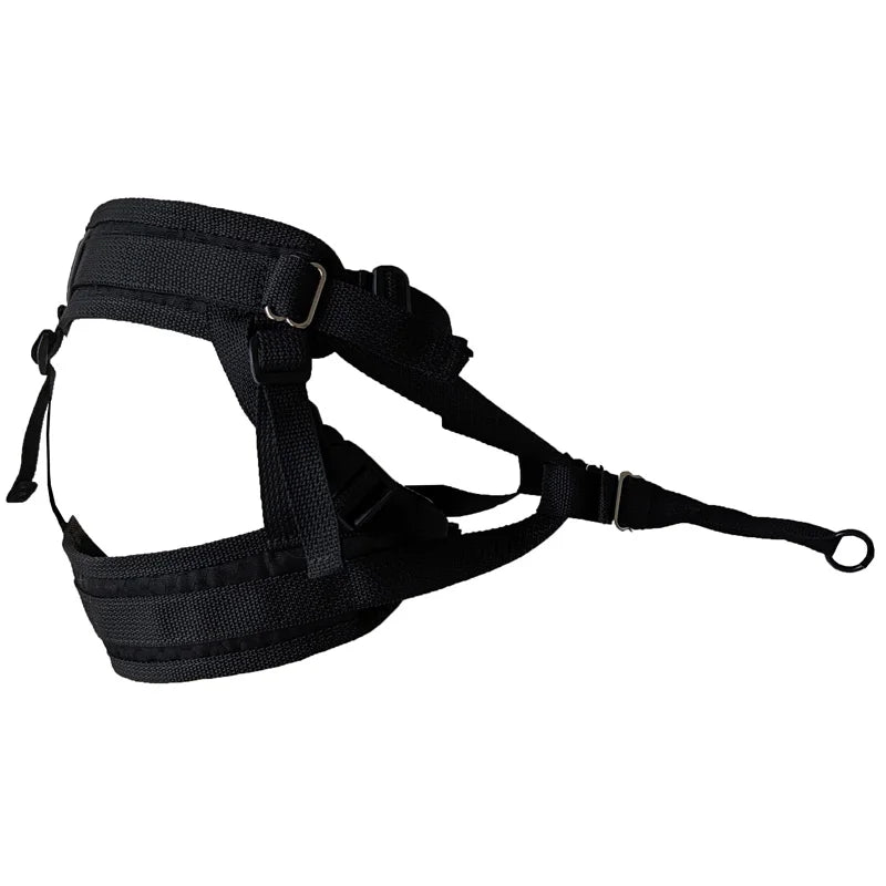 Ceinture  SERI PRO