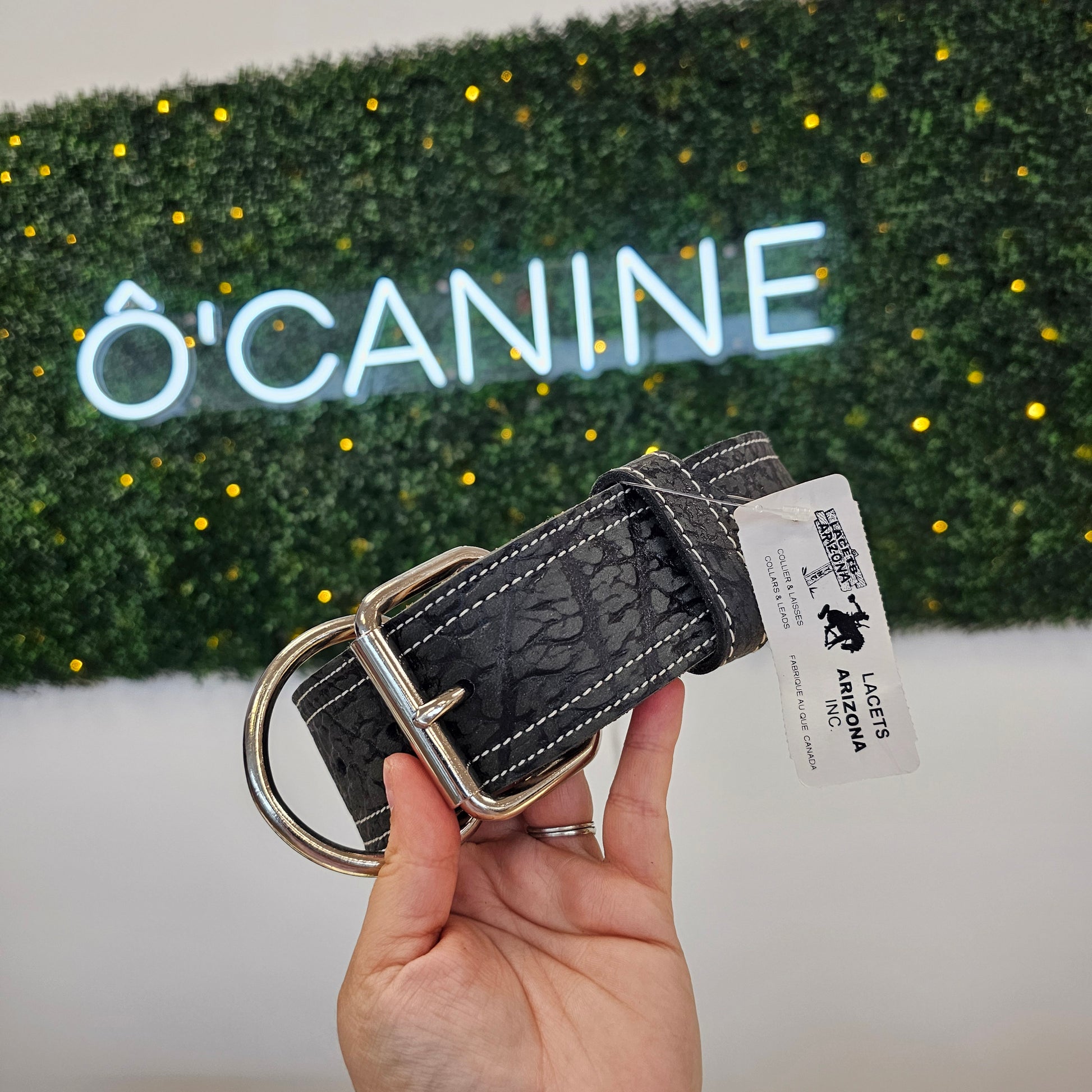 Collier arizona edition limité