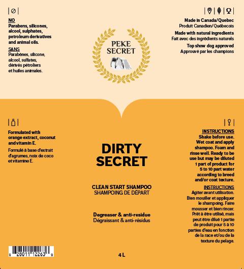 Dirty secret 500ml