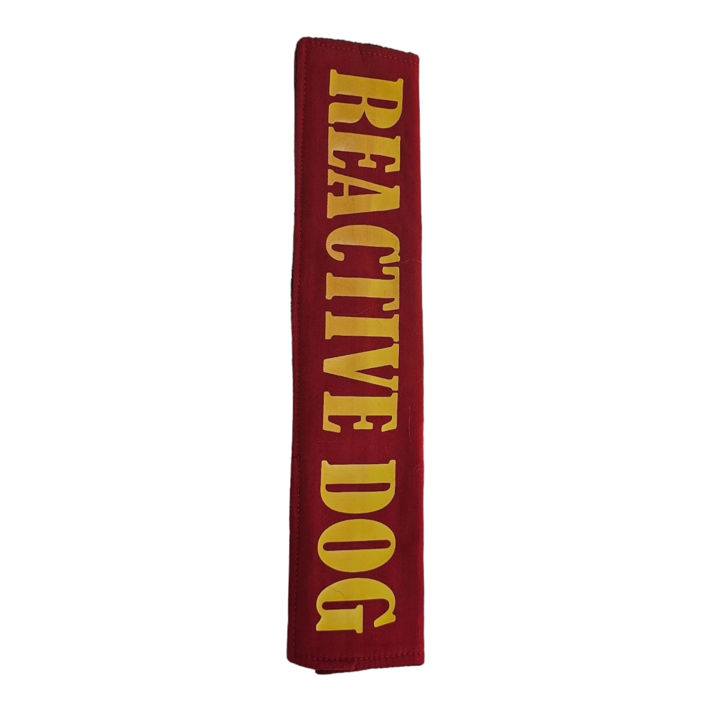 Bande chien réactif