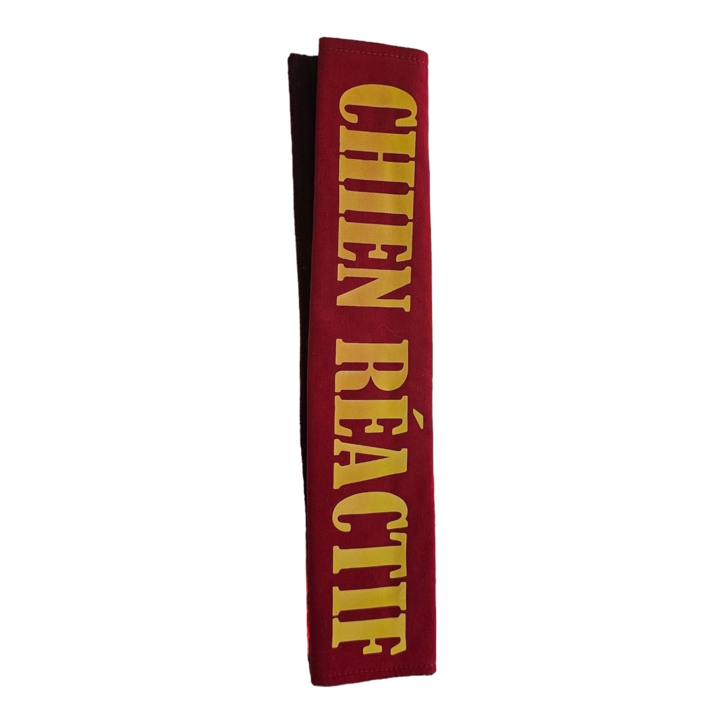 Bande chien réactif