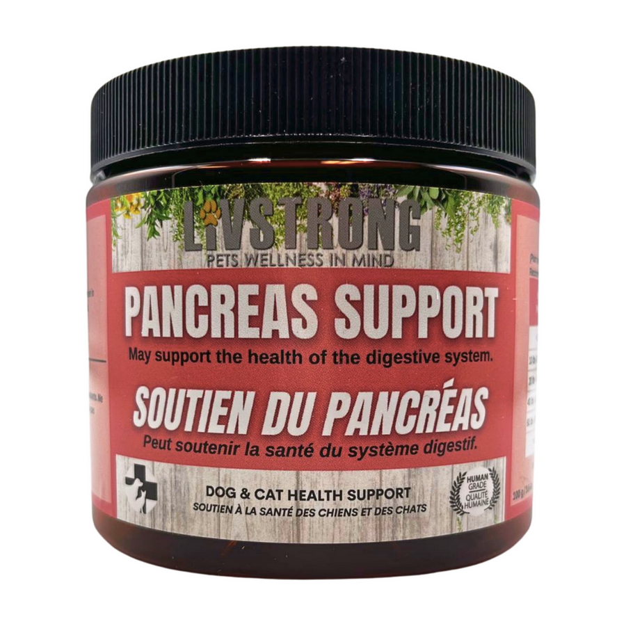 Soutien pancréas 100g