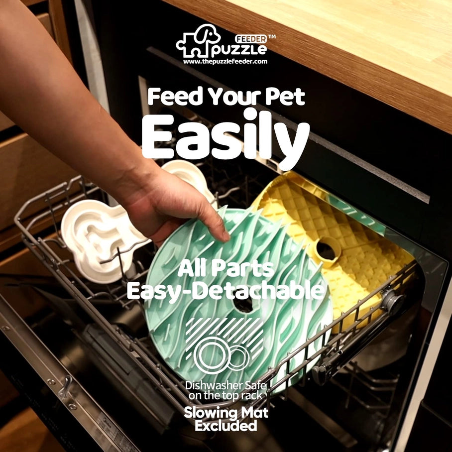 Bols a alimentation lente et puzzle