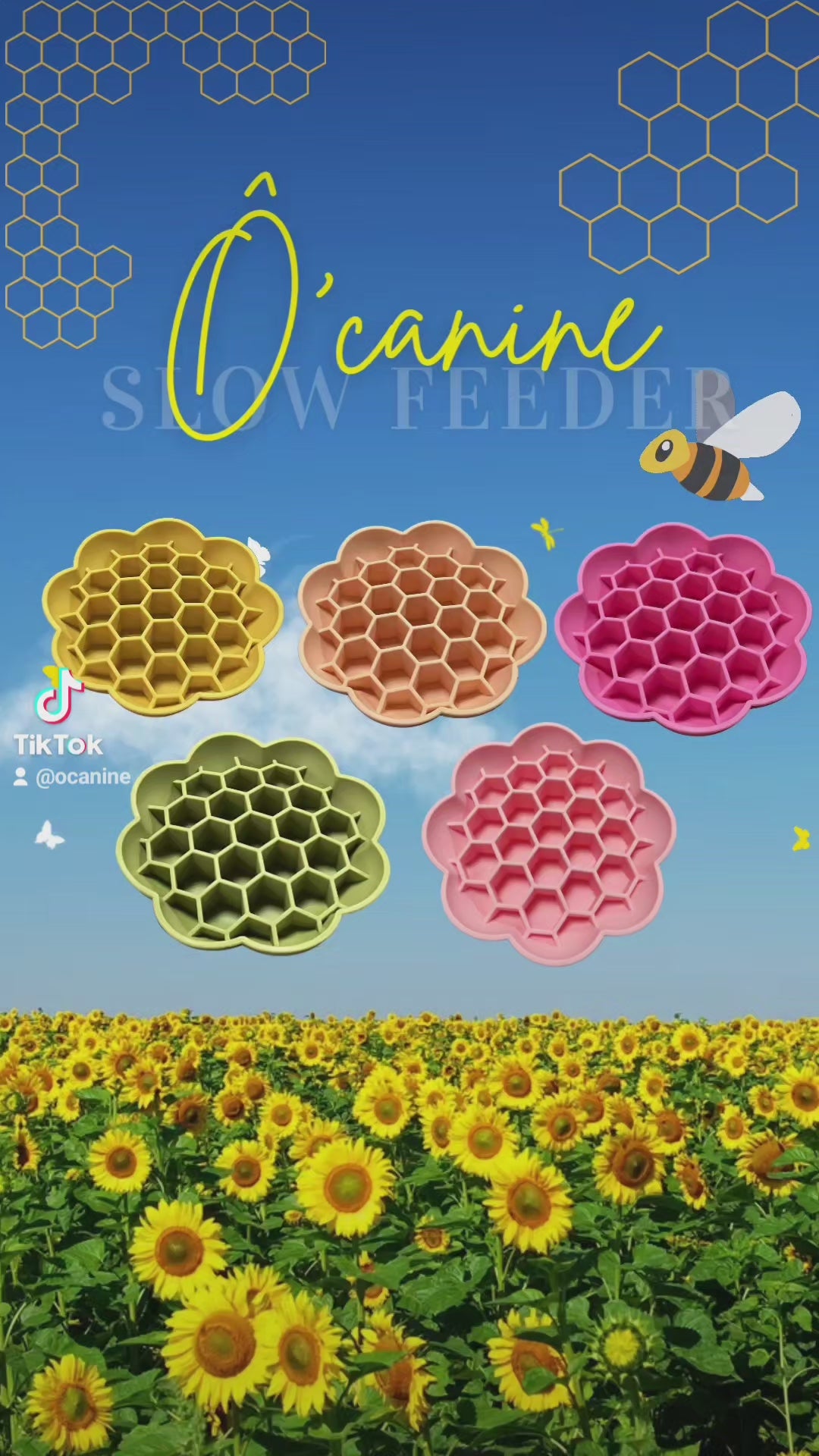 Bols fleur nid d'abeille