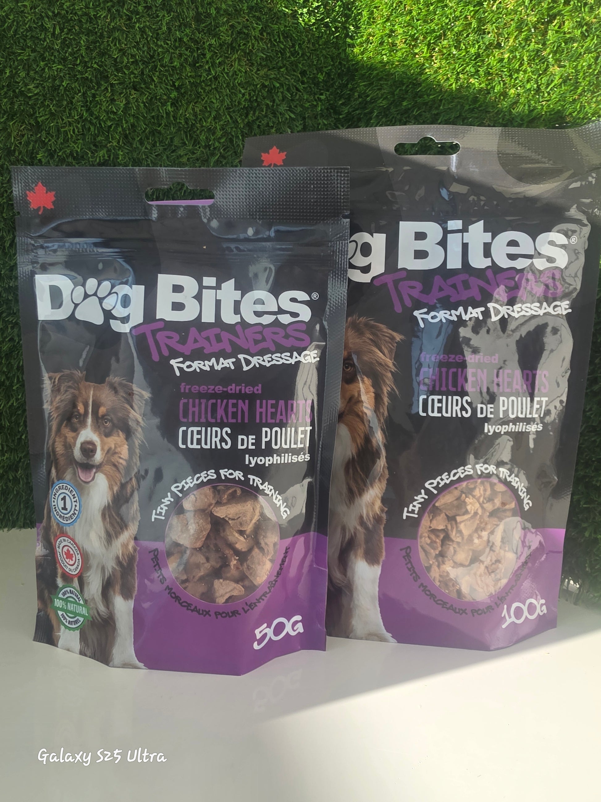 Coeur de poulet format dressage