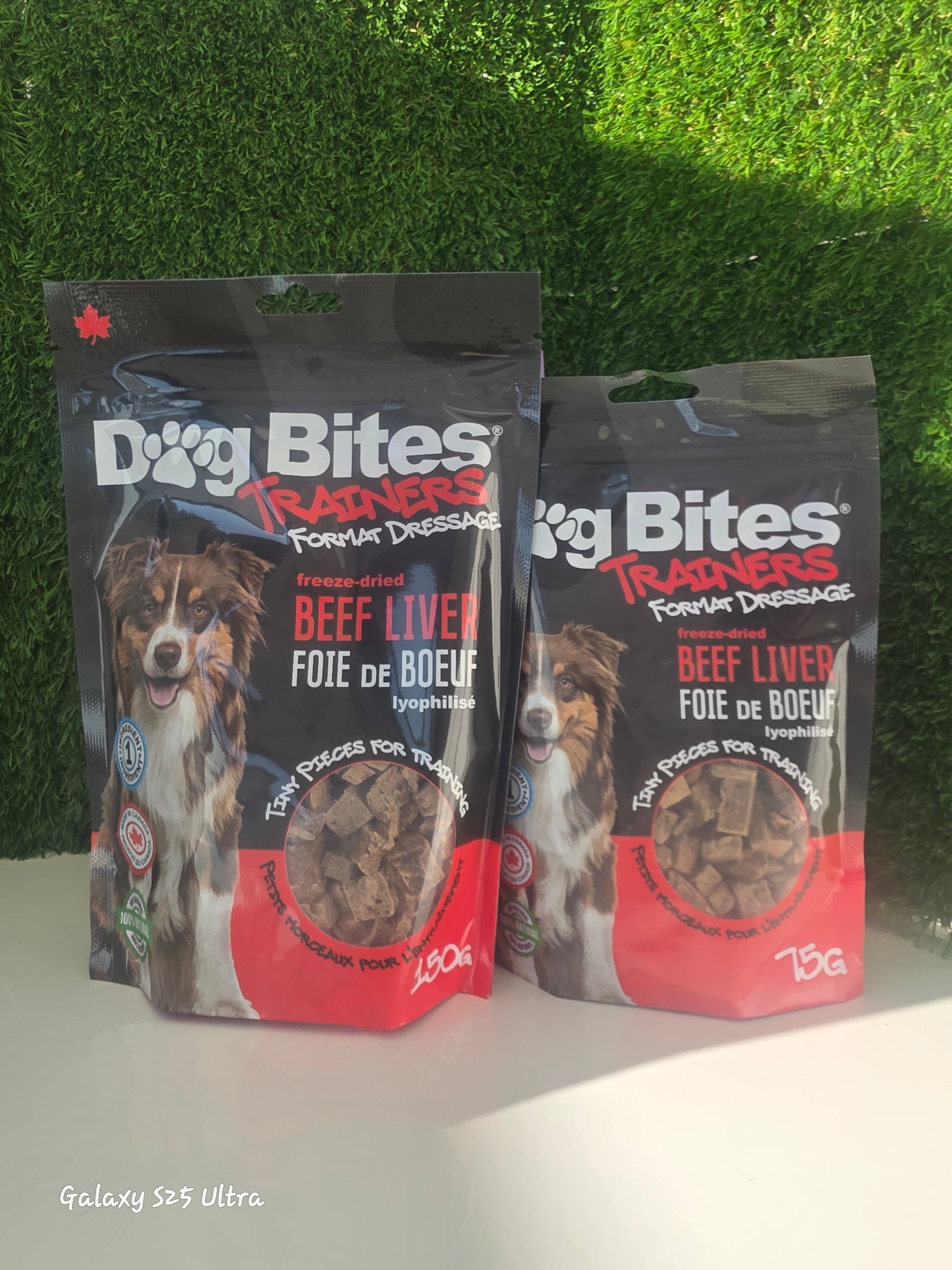 Foie de boeuf format dressage