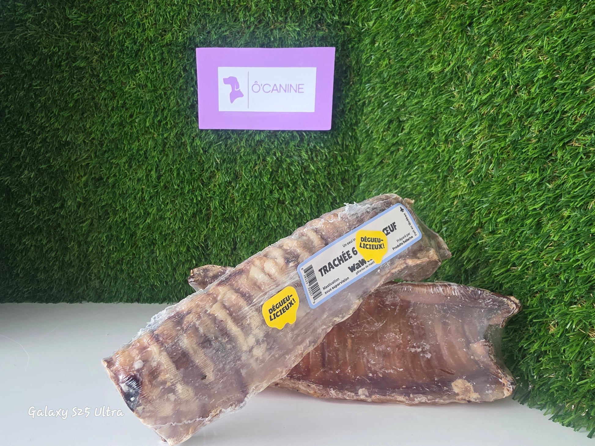 Trachée de boeuf 6-8"