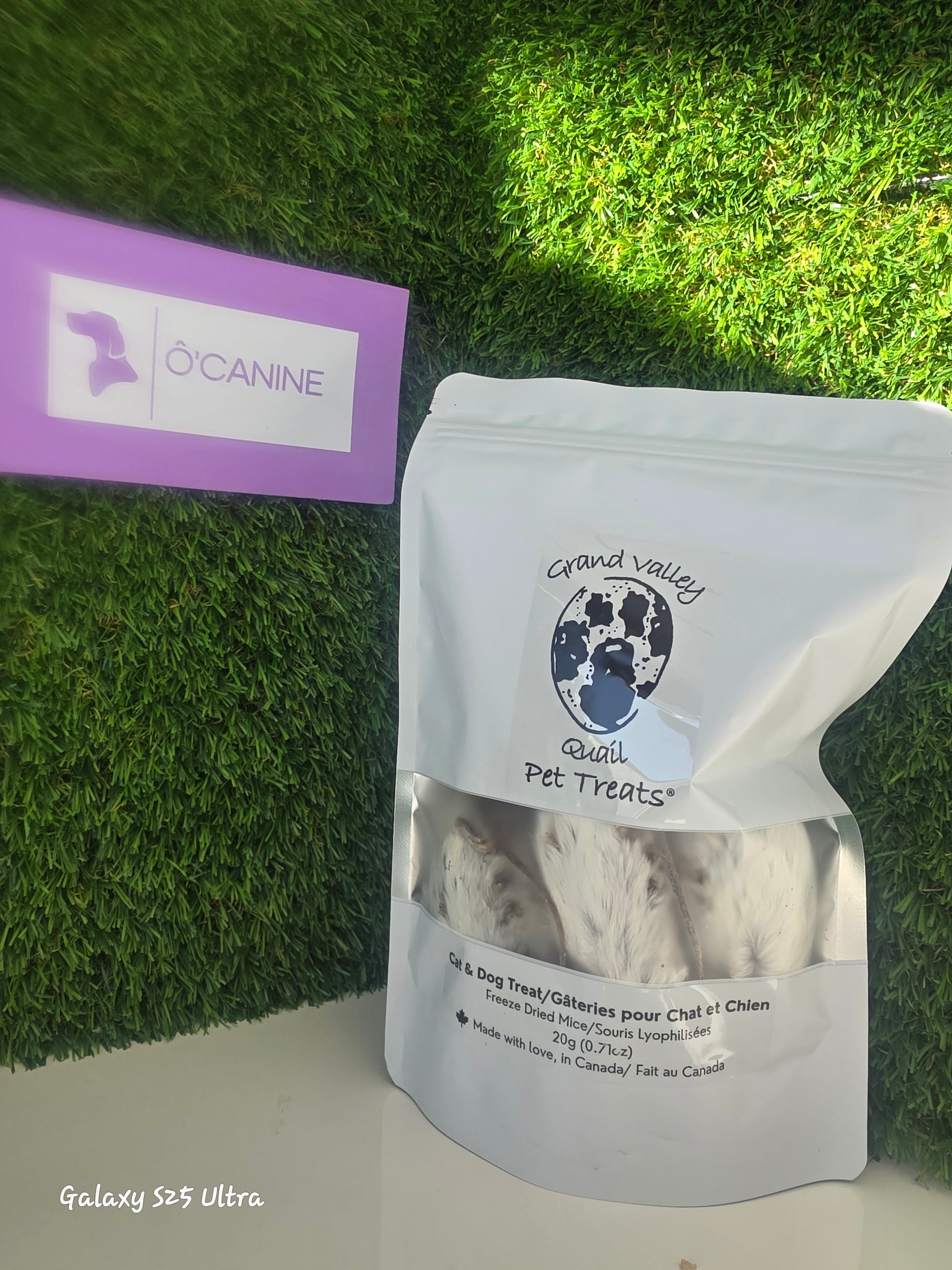 Souris adulte lyophilisé