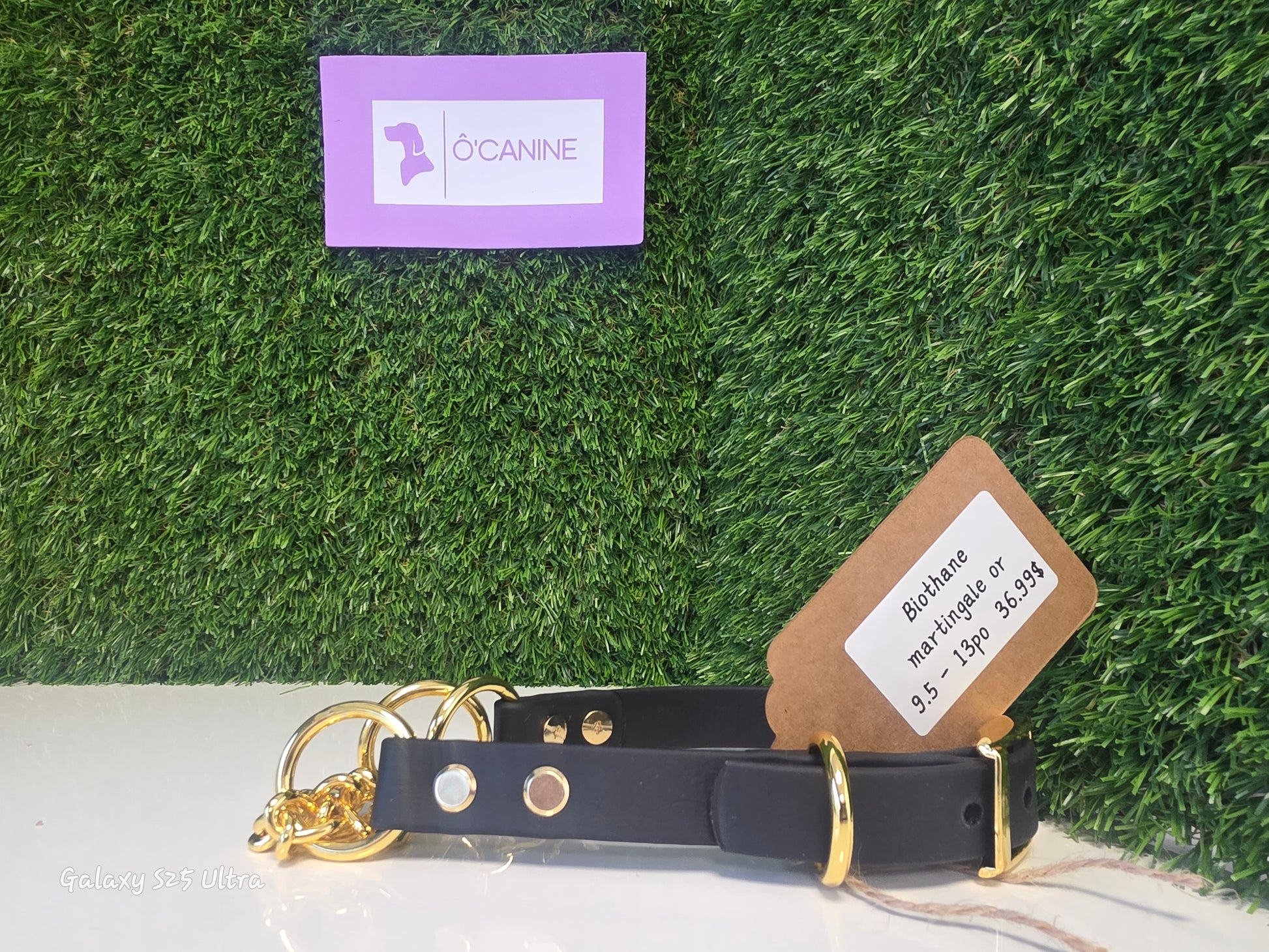 Creation NAJU Martingale  9.5-13"